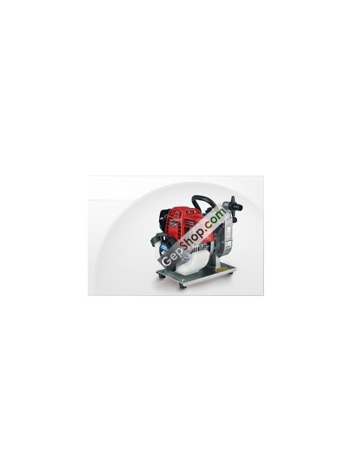 Honda WX 10